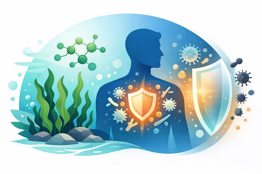Fucoidan for Immune Support Explained