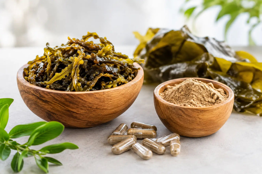 Your Guide to Seaweed-Derived Fucoidan Benefits