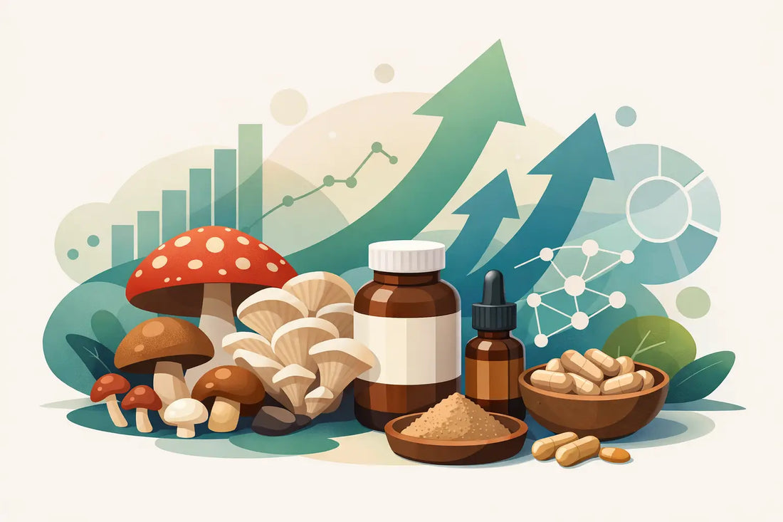 Mushroom Supplement Trends Worth Watching